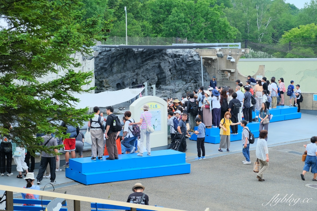 日本北海道｜北海道一日遊．旭山動物園、青池、白鬚瀑布，百匯哈密瓜吃到飽 @飛天璇的口袋