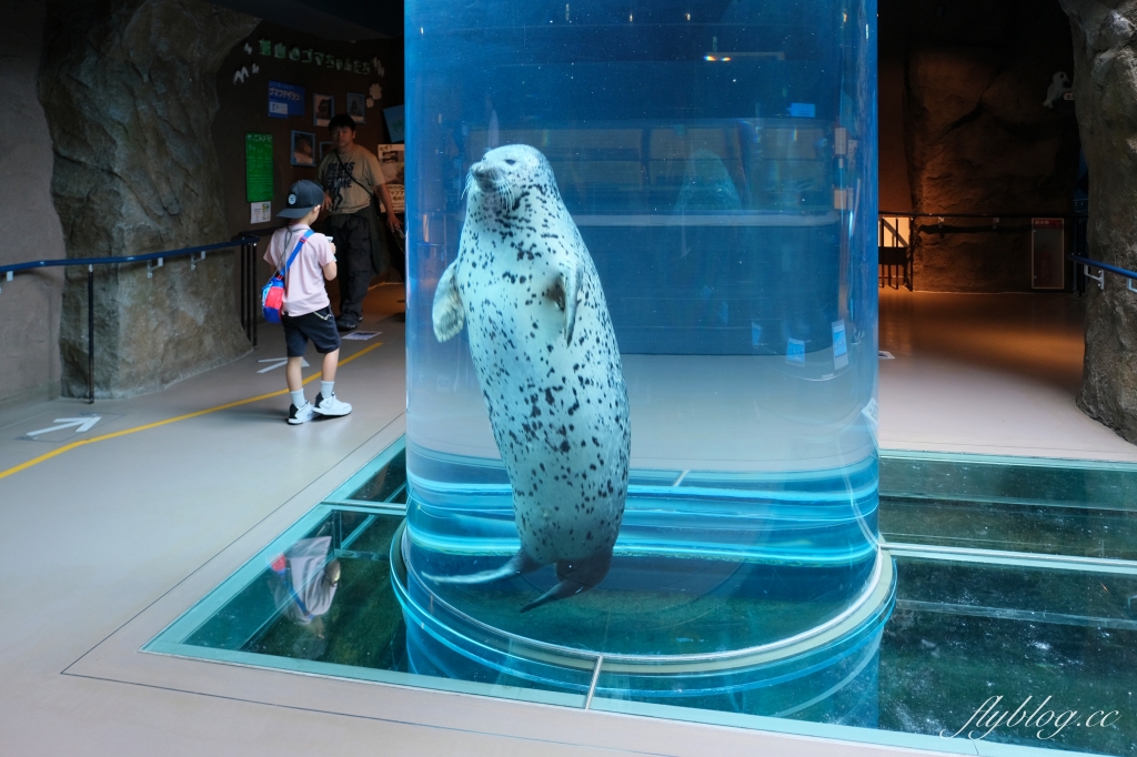 日本北海道｜北海道一日遊．旭山動物園、青池、白鬚瀑布，百匯哈密瓜吃到飽 @飛天璇的口袋