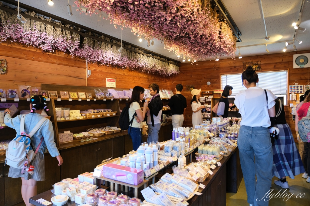 日本北海道｜富田農場．夏季北海道最美景點，到富良野賞薰衣草花田(附Mapcode) @飛天璇的口袋