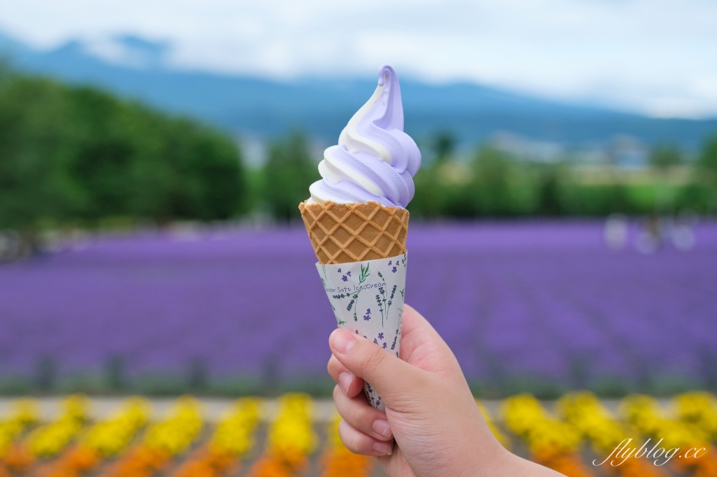 日本北海道｜富田農場．夏季北海道最美景點，到富良野賞薰衣草花田(附Mapcode) @飛天璇的口袋