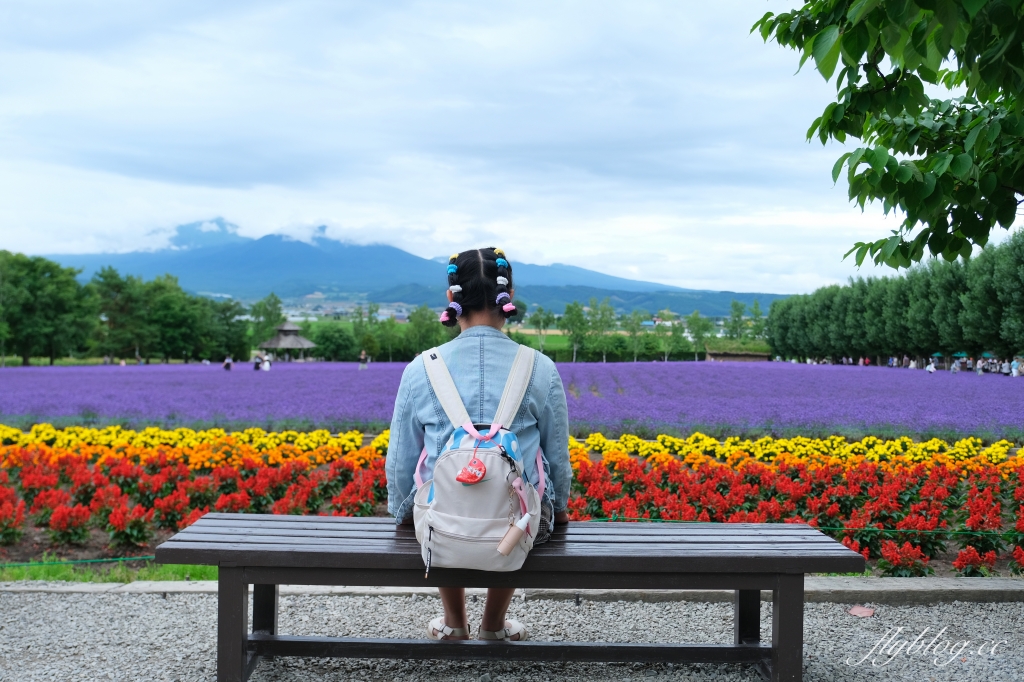 日本北海道｜富田農場．夏季北海道最美景點，到富良野賞薰衣草花田(附Mapcode) @飛天璇的口袋