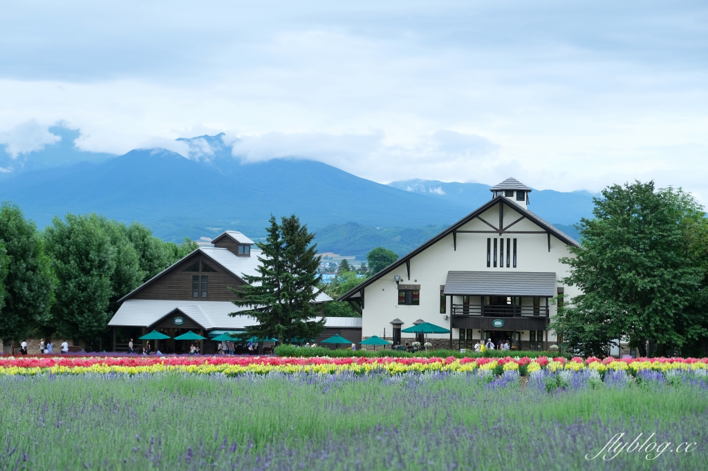 日本北海道｜富田農場．夏季北海道最美景點，到富良野賞薰衣草花田(附Mapcode) @飛天璇的口袋