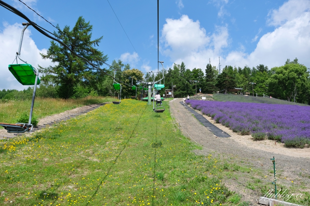 日本北海道｜北星山薰衣草園．坐纜車上山賞薰衣草，坐擁中富良野廣闊景致 @飛天璇的口袋