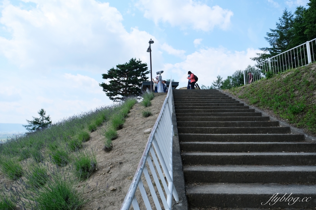 日本北海道｜北星山薰衣草園．坐纜車上山賞薰衣草，坐擁中富良野廣闊景致 @飛天璇的口袋