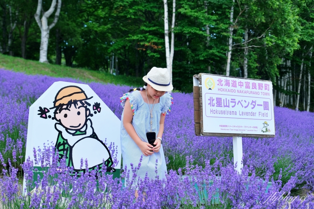 日本北海道｜北星山薰衣草園．坐纜車上山賞薰衣草，坐擁中富良野廣闊景致 @飛天璇的口袋