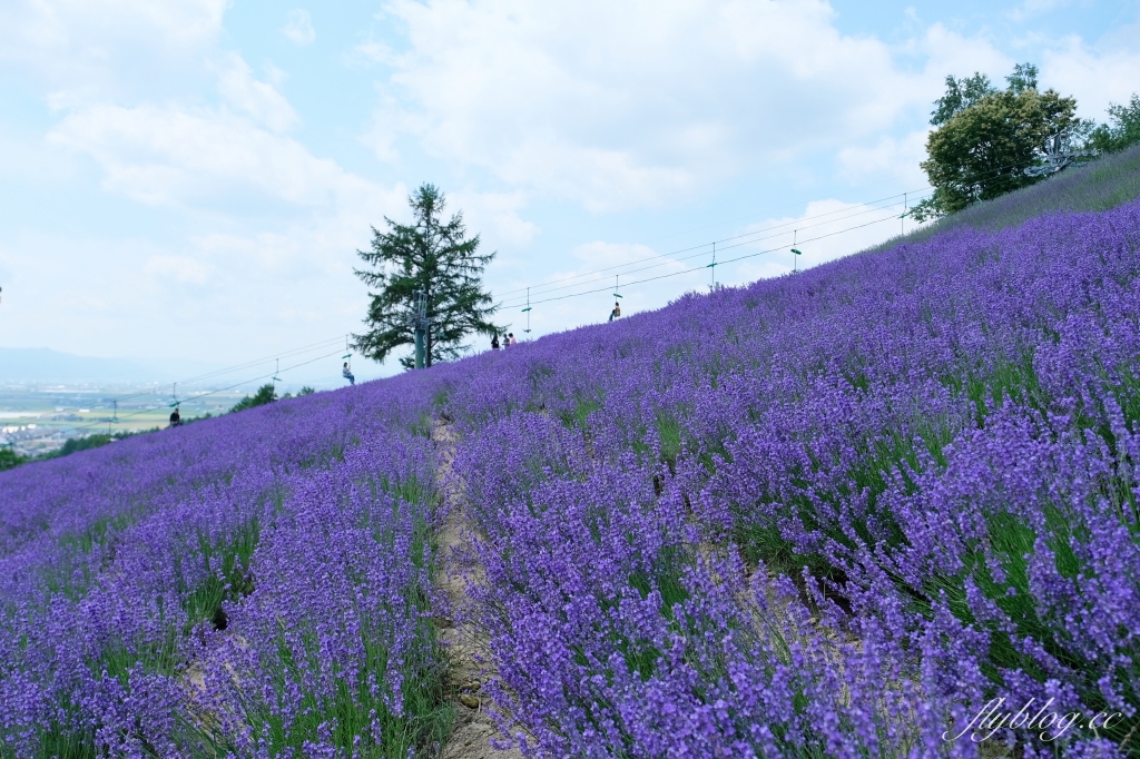 日本北海道｜北星山薰衣草園．坐纜車上山賞薰衣草，坐擁中富良野廣闊景致 @飛天璇的口袋