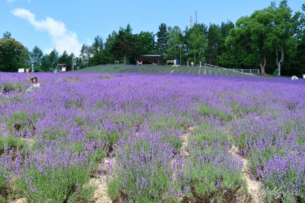 日本北海道｜北星山薰衣草園．坐纜車上山賞薰衣草，坐擁中富良野廣闊景致 @飛天璇的口袋