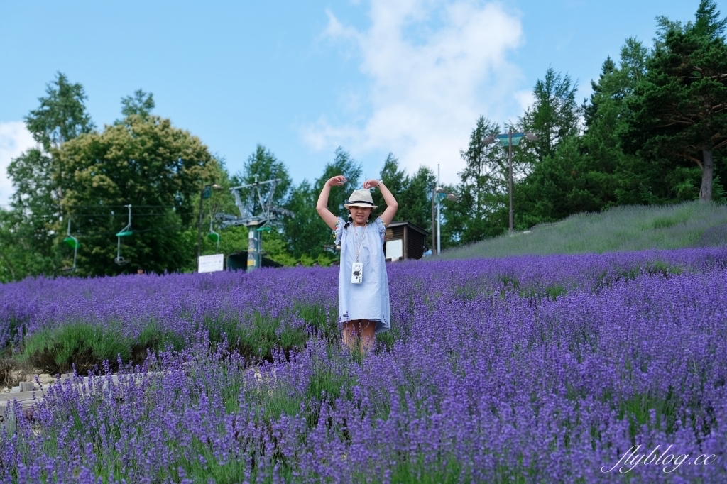 日本北海道｜北星山薰衣草園．坐纜車上山賞薰衣草，坐擁中富良野廣闊景致 @飛天璇的口袋