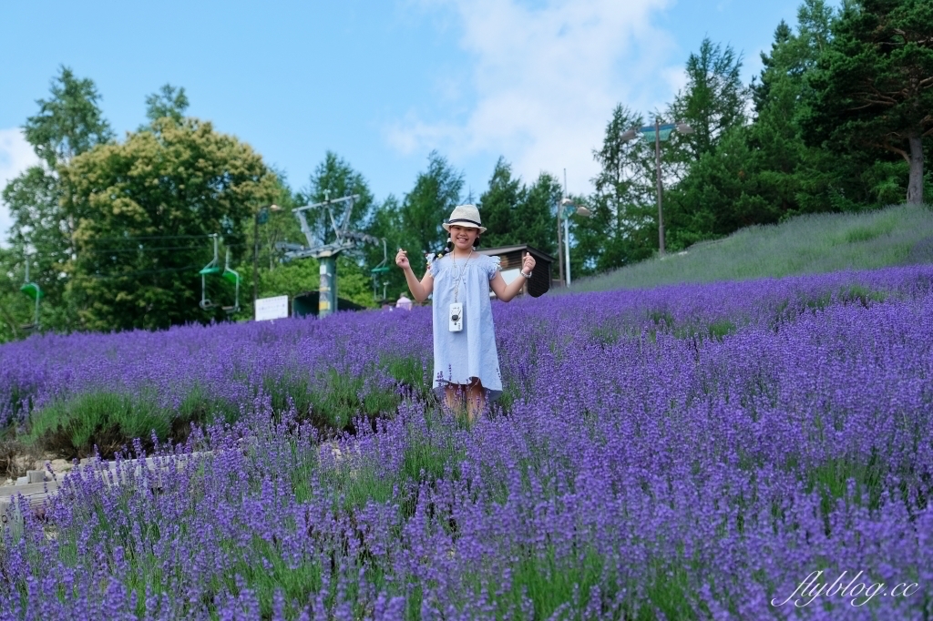 日本北海道｜北星山薰衣草園．坐纜車上山賞薰衣草，坐擁中富良野廣闊景致 @飛天璇的口袋