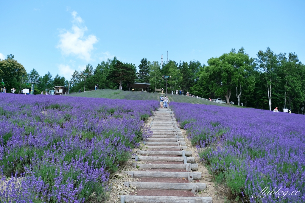 日本北海道｜北星山薰衣草園．坐纜車上山賞薰衣草，坐擁中富良野廣闊景致 @飛天璇的口袋