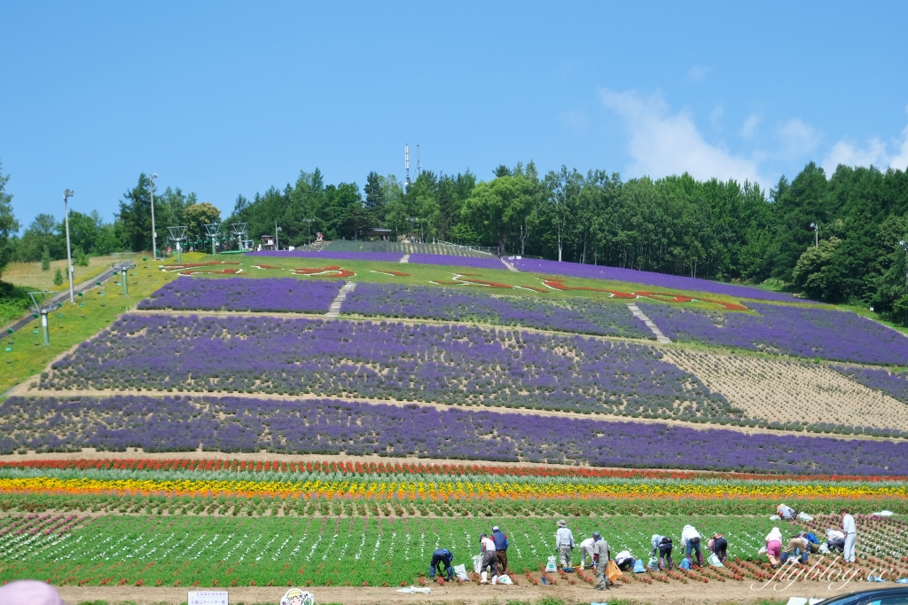 日本北海道｜北星山薰衣草園．坐纜車上山賞薰衣草，坐擁中富良野廣闊景致 @飛天璇的口袋