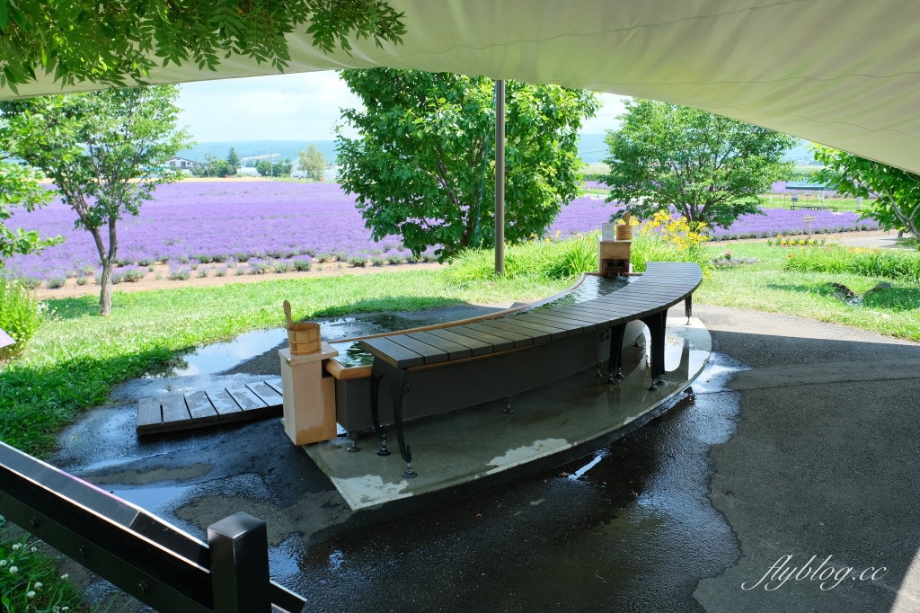 日本北海道｜薰衣草東部 Lavender East．日本最大面積的薰衣草，泡足湯欣賞整片紫色花海 @飛天璇的口袋