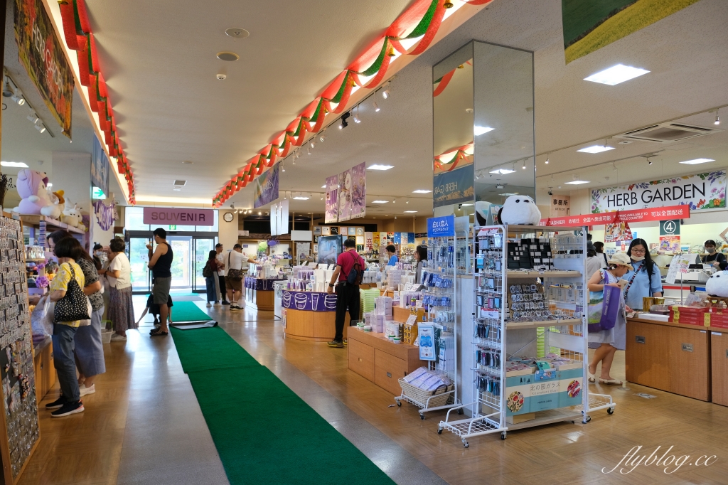 日本北海道｜北海道一日遊．旭山動物園、青池、白鬚瀑布，百匯哈密瓜吃到飽 @飛天璇的口袋