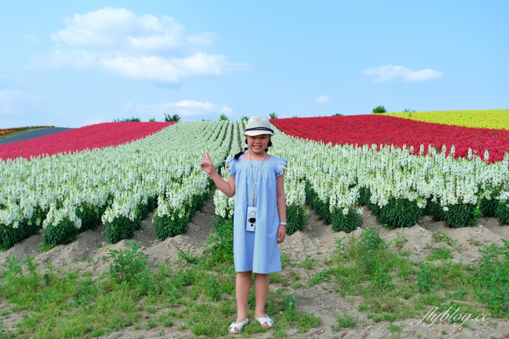 日本北海道｜四季彩之丘．美瑛夢幻賞花景點，五彩繽紛大自然拼布(附Mapcode) @飛天璇的口袋