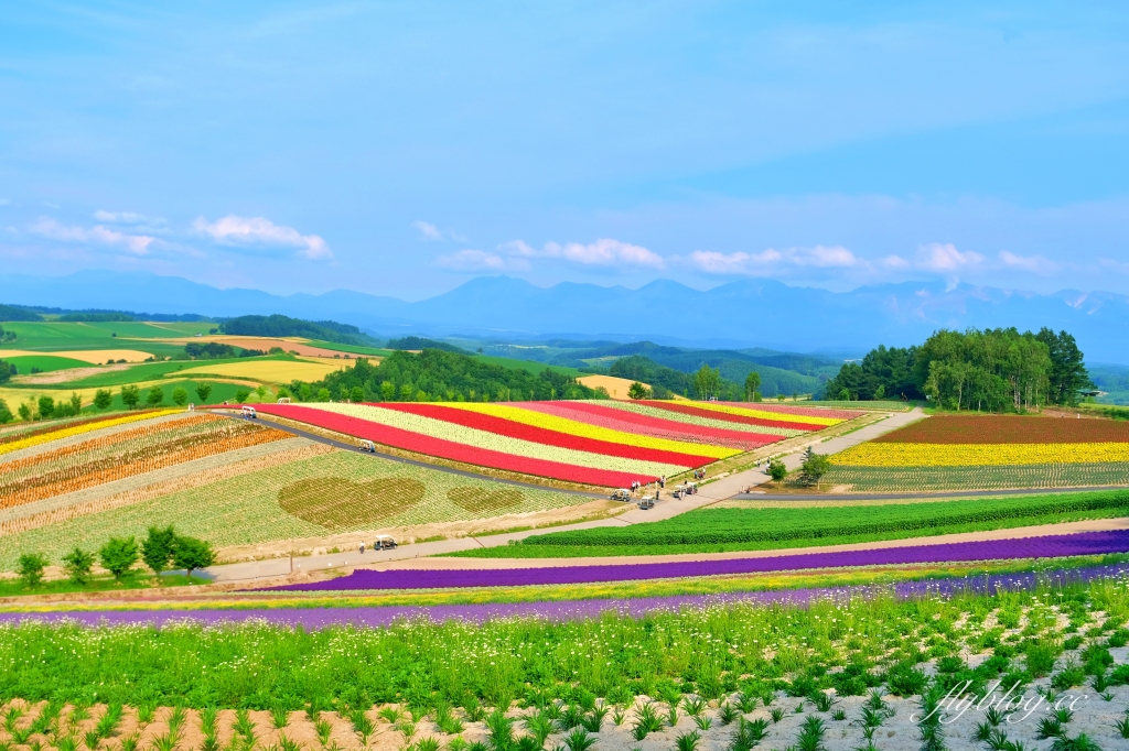 日本北海道｜四季彩之丘．美瑛夢幻賞花景點，五彩繽紛大自然拼布(附Mapcode) @飛天璇的口袋