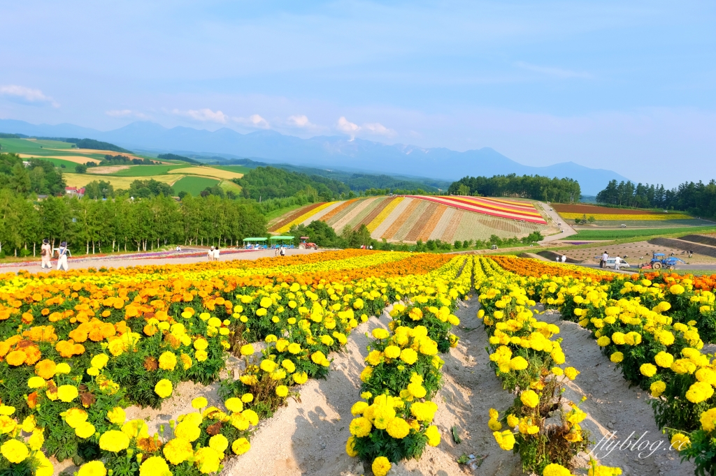 日本北海道｜四季彩之丘．美瑛夢幻賞花景點，五彩繽紛大自然拼布(附Mapcode) @飛天璇的口袋