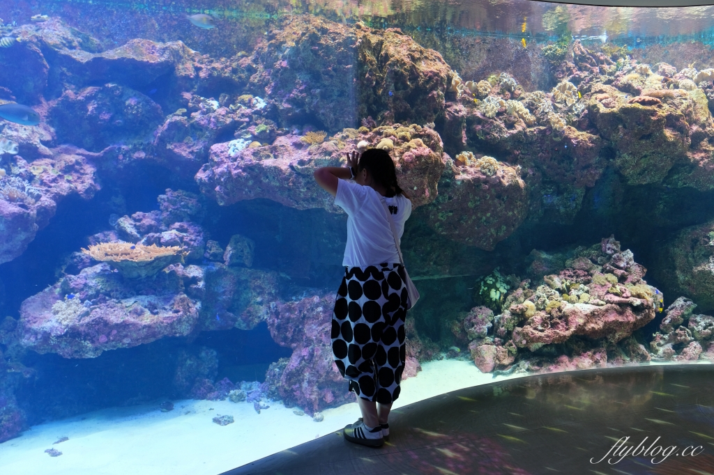 桃園中壢｜Xpark．來自日本八景島的水族館，票價、交通、環境、必拍一次看 @飛天璇的口袋