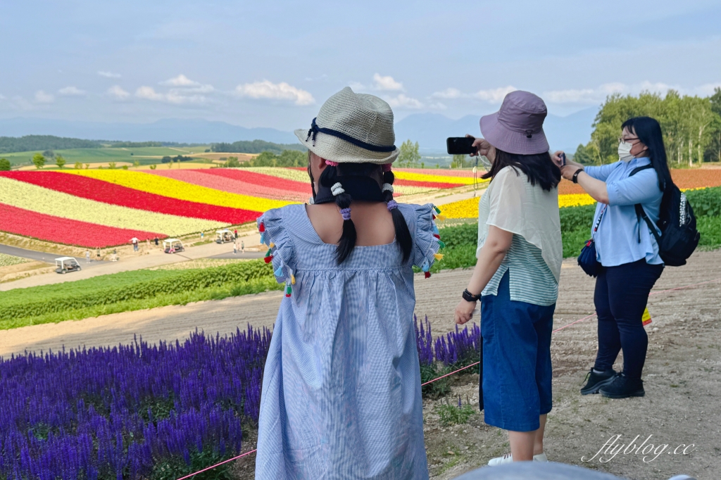 日本北海道｜四季彩之丘．美瑛夢幻賞花景點，五彩繽紛大自然拼布(附Mapcode) @飛天璇的口袋