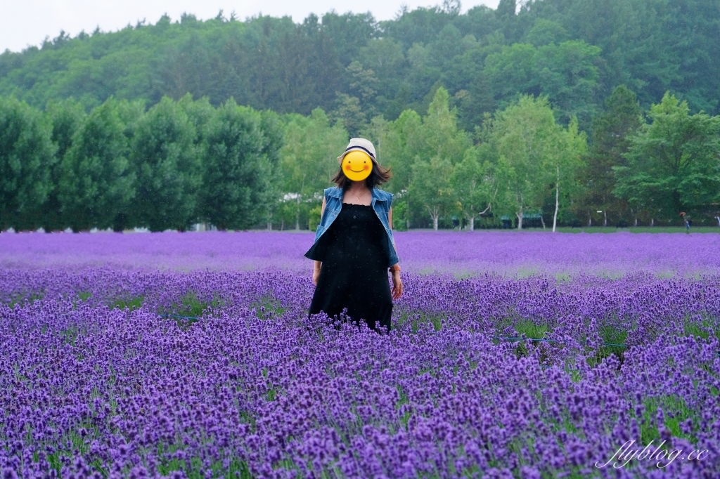 日本北海道｜富田農場．夏季北海道最美景點，到富良野賞薰衣草花田(附Mapcode) @飛天璇的口袋