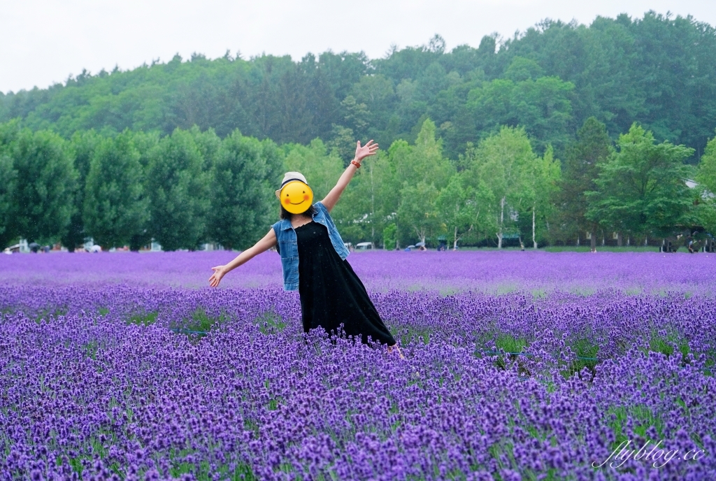 日本北海道｜富田農場．夏季北海道最美景點，到富良野賞薰衣草花田(附Mapcode) @飛天璇的口袋