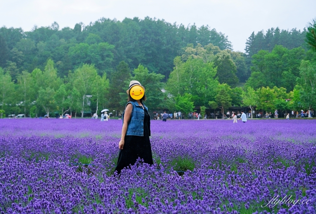 日本北海道｜富田農場．夏季北海道最美景點，到富良野賞薰衣草花田(附Mapcode) @飛天璇的口袋