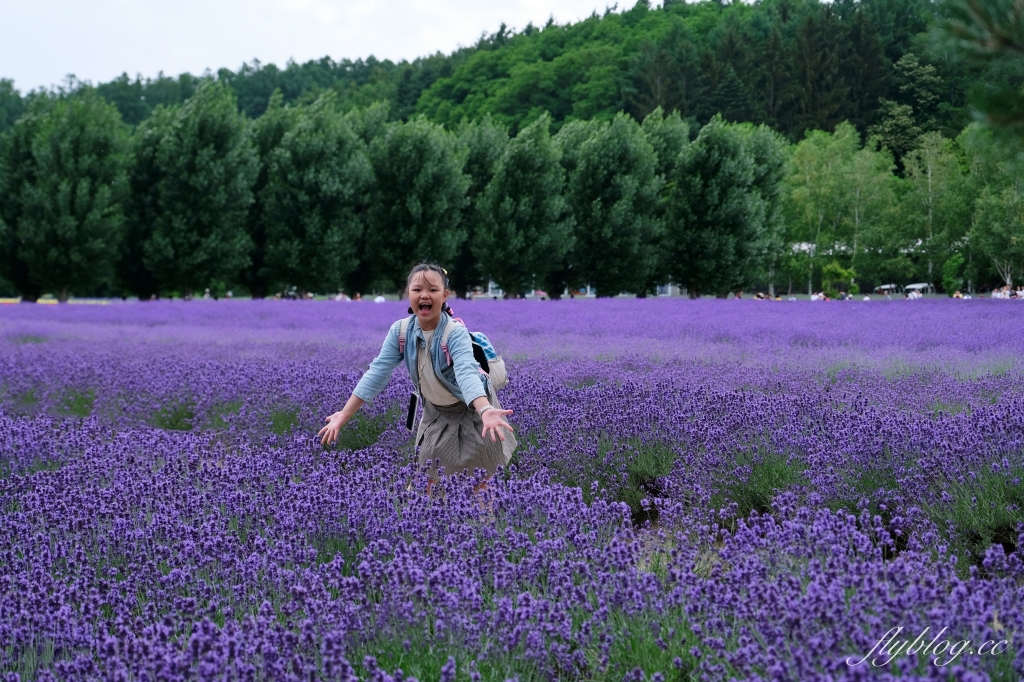 日本北海道｜富田農場．夏季北海道最美景點，到富良野賞薰衣草花田(附Mapcode) @飛天璇的口袋