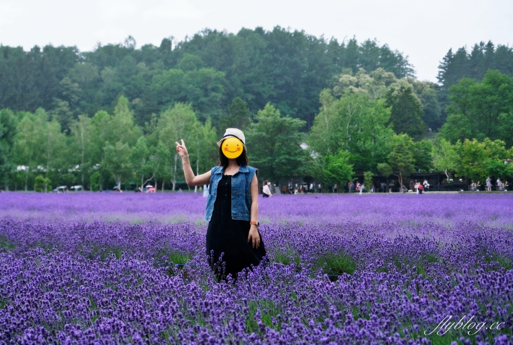 日本北海道｜富田農場．夏季北海道最美景點，到富良野賞薰衣草花田(附Mapcode) @飛天璇的口袋