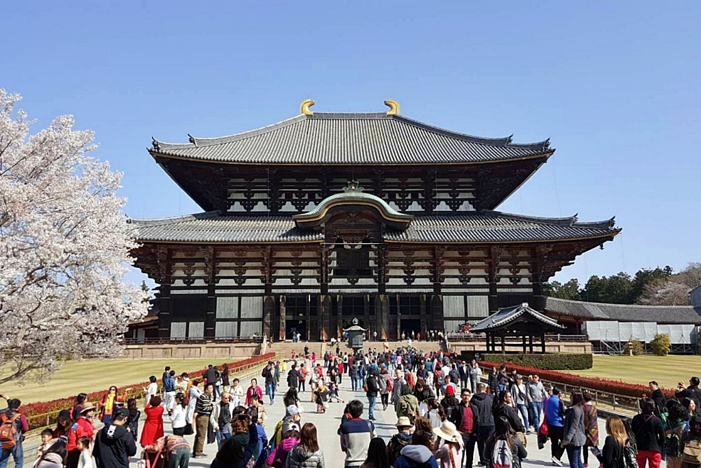 日本奈良｜奈良一日遊．租腳踏車玩奈良！交通方式、路線安排、必玩景點、必吃美食介紹 @飛天璇的口袋