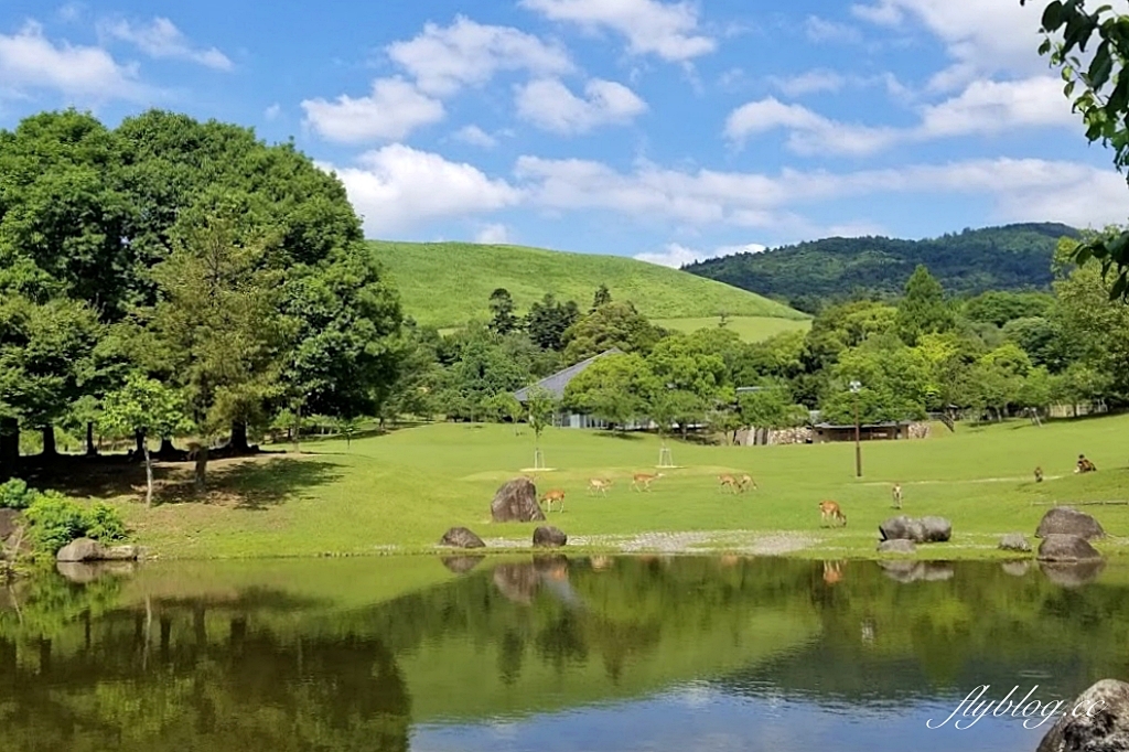 日本奈良｜奈良一日遊．租腳踏車玩奈良！交通方式、路線安排、必玩景點、必吃美食介紹 @飛天璇的口袋