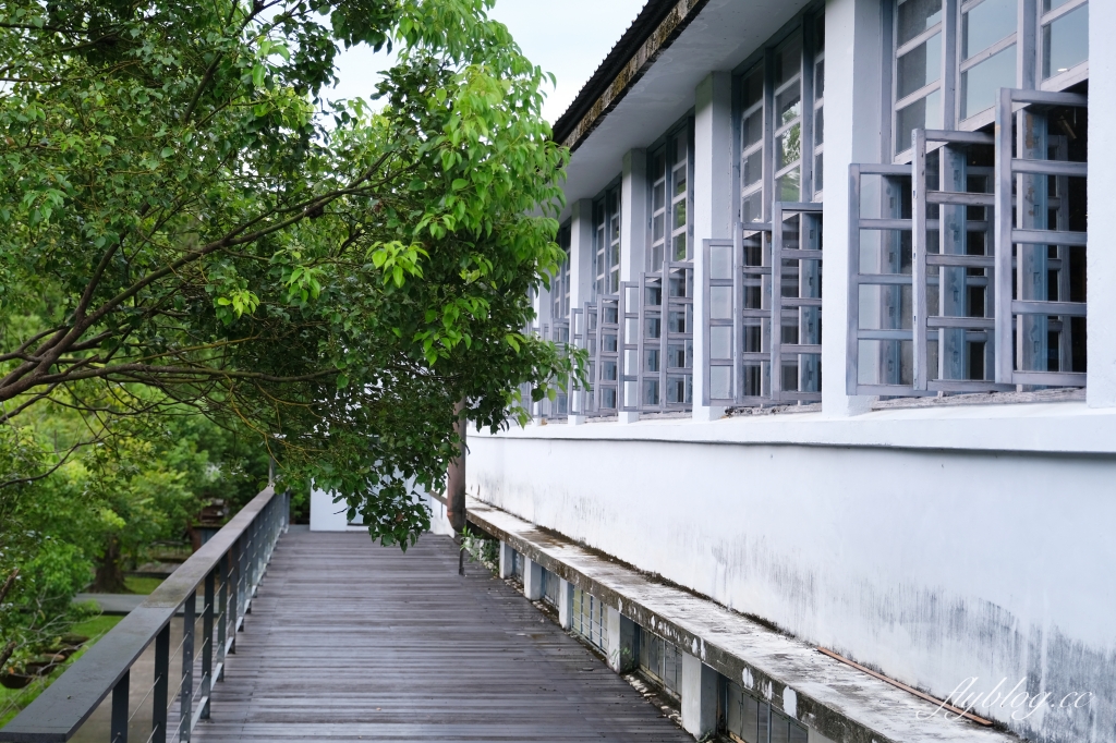 桃園旅遊｜放假囉！來慈湖．桃園一日遊這麼玩，5個熱門景點一次收 @飛天璇的口袋