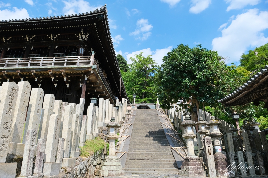 日本奈良｜奈良一日遊．租腳踏車玩奈良！交通方式、路線安排、必玩景點、必吃美食介紹 @飛天璇的口袋