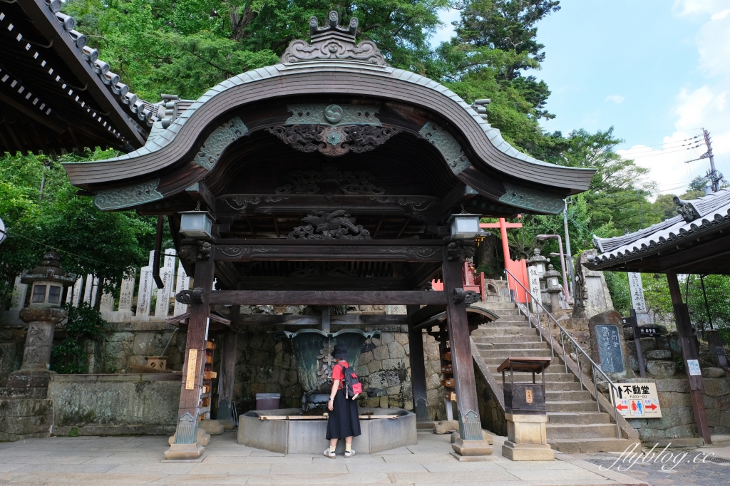 日本奈良｜奈良一日遊．租腳踏車玩奈良！交通方式、路線安排、必玩景點、必吃美食介紹 @飛天璇的口袋