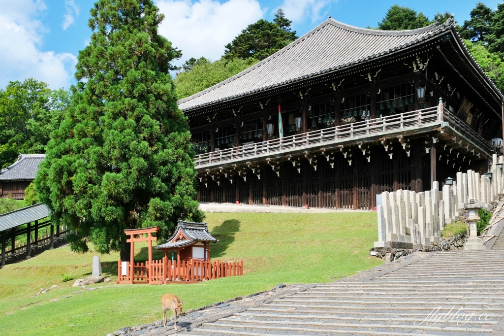 日本奈良｜奈良一日遊．租腳踏車玩奈良！交通方式、路線安排、必玩景點、必吃美食介紹 @飛天璇的口袋