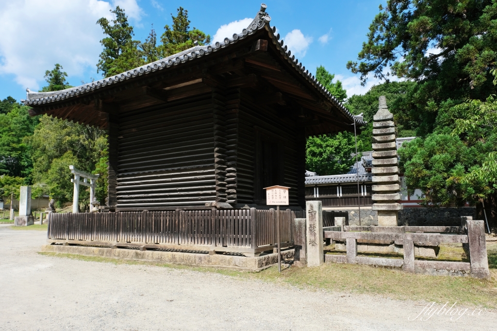 日本奈良｜奈良一日遊．租腳踏車玩奈良！交通方式、路線安排、必玩景點、必吃美食介紹 @飛天璇的口袋