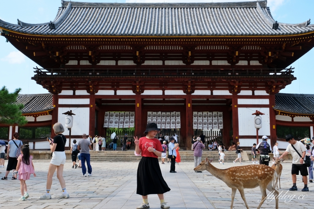 日本奈良｜奈良一日遊．租腳踏車玩奈良！交通方式、路線安排、必玩景點、必吃美食介紹 @飛天璇的口袋