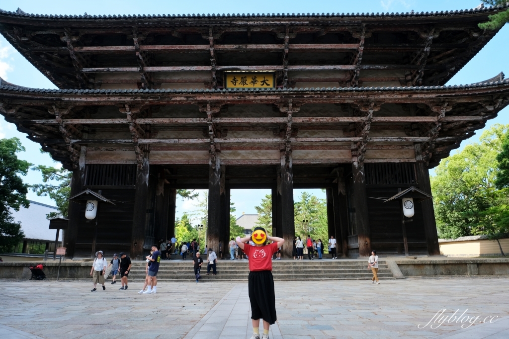 日本奈良｜奈良一日遊．租腳踏車玩奈良！交通方式、路線安排、必玩景點、必吃美食介紹 @飛天璇的口袋