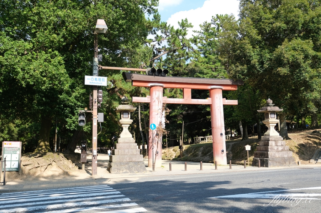 日本奈良｜奈良一日遊．租腳踏車玩奈良！交通方式、路線安排、必玩景點、必吃美食介紹 @飛天璇的口袋