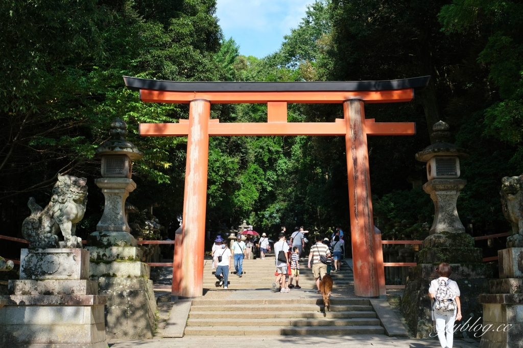 日本奈良｜奈良一日遊．租腳踏車玩奈良！交通方式、路線安排、必玩景點、必吃美食介紹 @飛天璇的口袋