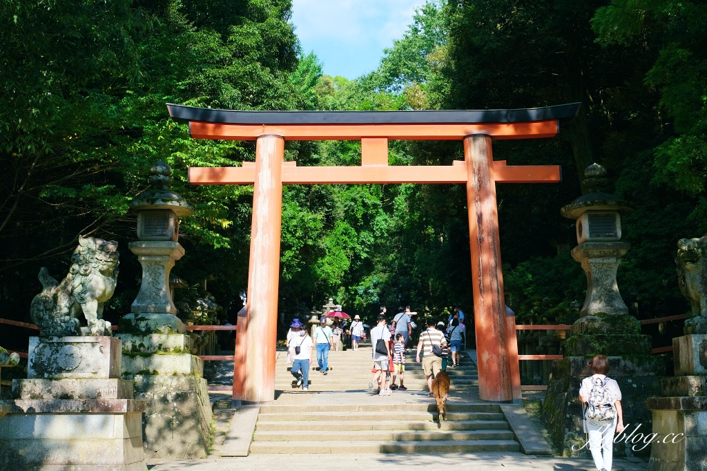 日本關西｜大阪自由行．京阪奈5天4夜，大阪環球影城、京都一日遊、奈良一日遊、大阪一日遊 @飛天璇的口袋