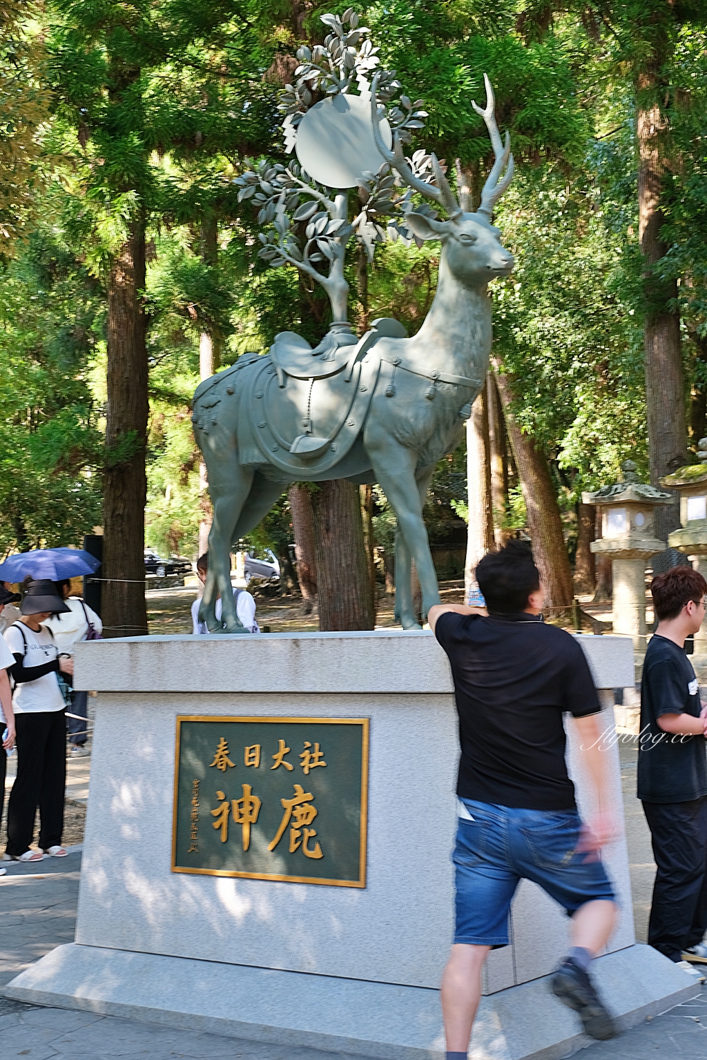 日本奈良｜奈良一日遊．租腳踏車玩奈良！交通方式、路線安排、必玩景點、必吃美食介紹 @飛天璇的口袋