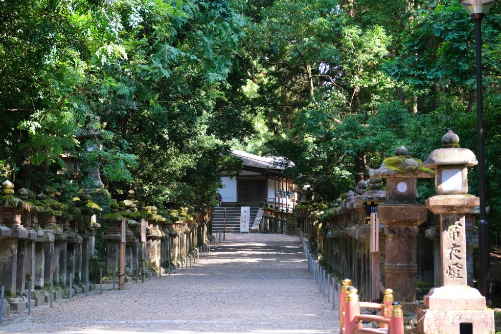 日本奈良｜奈良一日遊．租腳踏車玩奈良！交通方式、路線安排、必玩景點、必吃美食介紹 @飛天璇的口袋