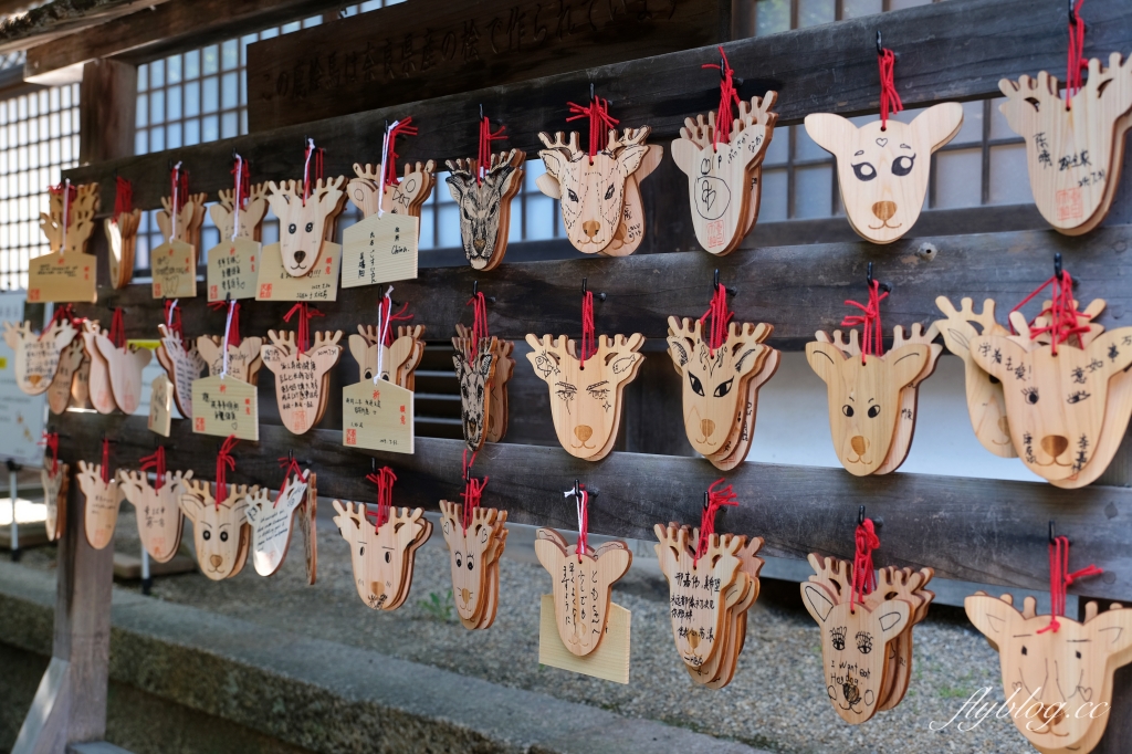 日本奈良｜奈良一日遊．租腳踏車玩奈良！交通方式、路線安排、必玩景點、必吃美食介紹 @飛天璇的口袋