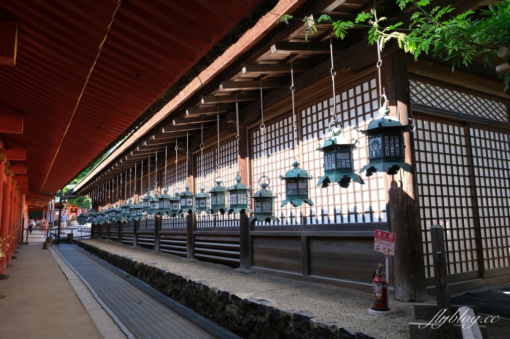 日本奈良｜奈良一日遊．租腳踏車玩奈良！交通方式、路線安排、必玩景點、必吃美食介紹 @飛天璇的口袋