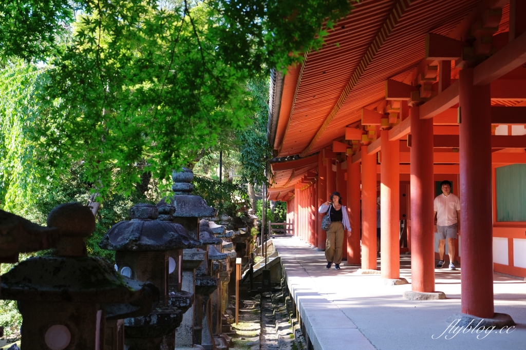 日本奈良｜奈良一日遊．租腳踏車玩奈良！交通方式、路線安排、必玩景點、必吃美食介紹 @飛天璇的口袋