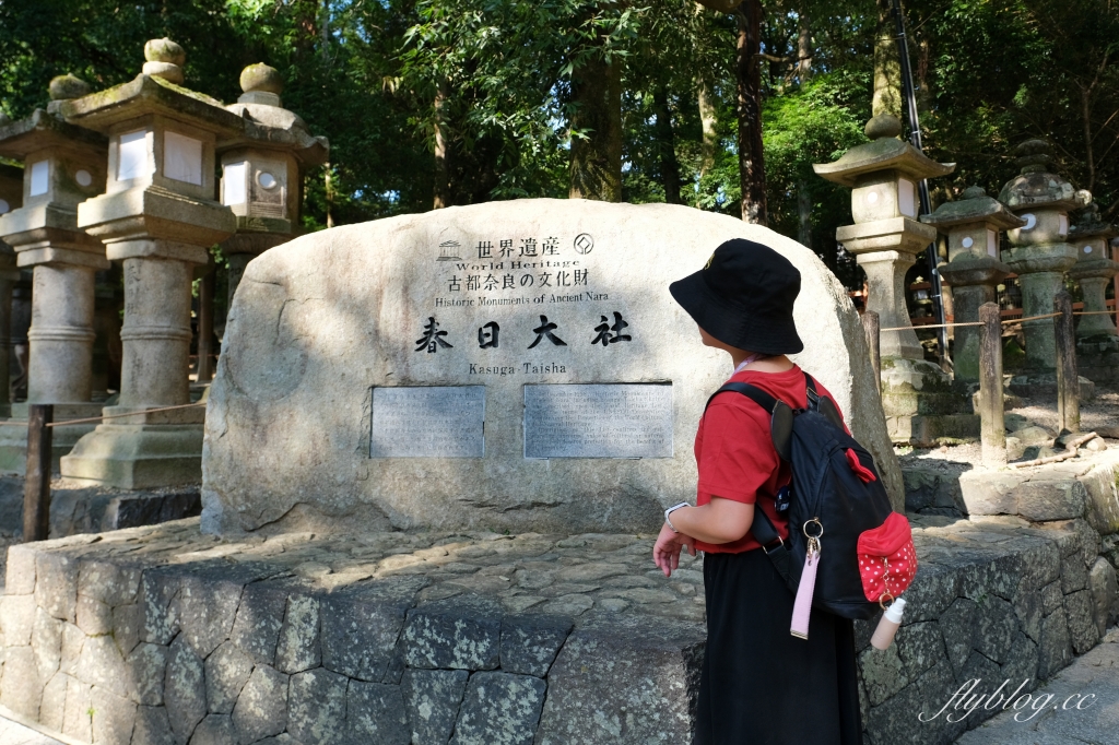 日本奈良｜奈良一日遊．租腳踏車玩奈良！交通方式、路線安排、必玩景點、必吃美食介紹 @飛天璇的口袋