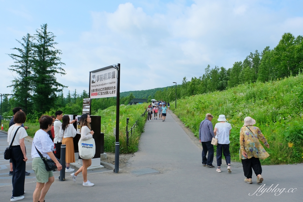 日本北海道｜白金青池．北海道的三個藍之一，被選為蘋果電腦的桌布，美瑛最熱門的景點 @飛天璇的口袋