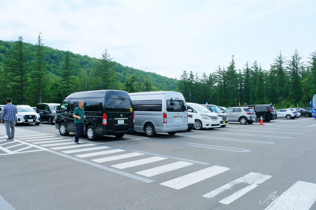 日本北海道｜白金青池．北海道的三個藍之一，被選為蘋果電腦的桌布，美瑛最熱門的景點 @飛天璇的口袋