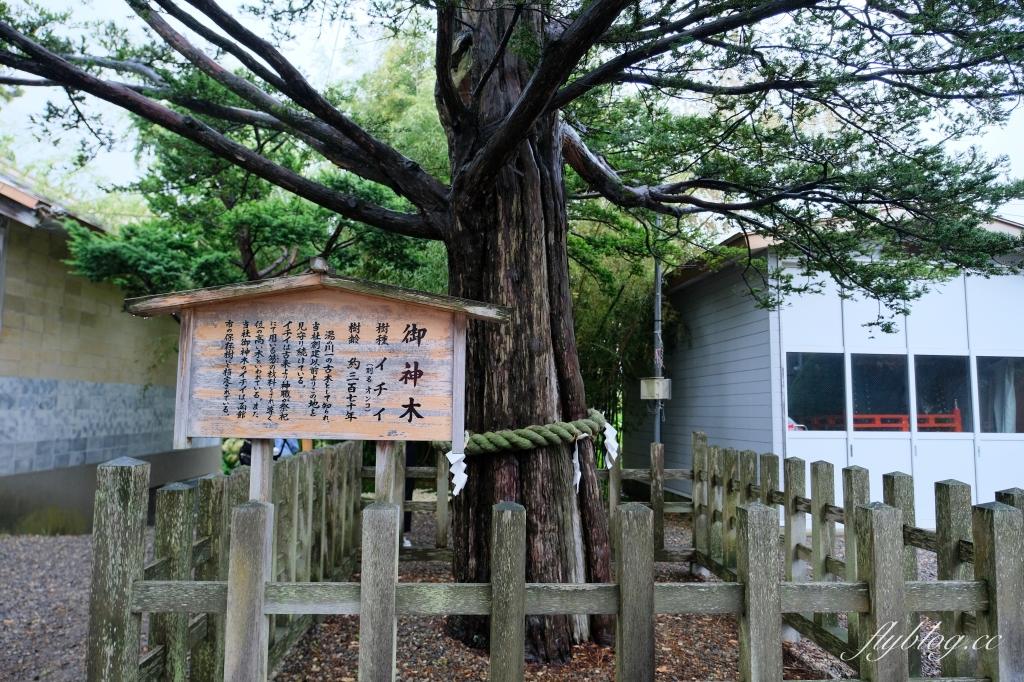 日本北海道｜湯倉神社．函館湯川溫泉的發源地，可愛的神兔籤詩和烏賊御守 @飛天璇的口袋