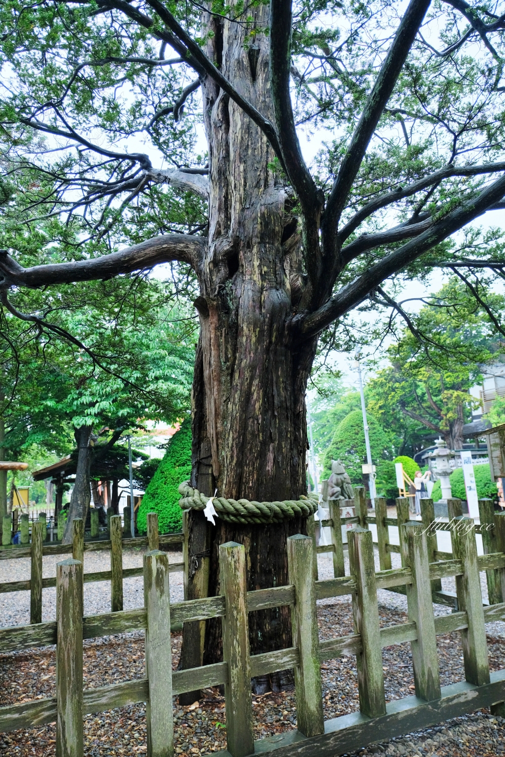 日本北海道｜湯倉神社．函館湯川溫泉的發源地，可愛的神兔籤詩和烏賊御守 @飛天璇的口袋