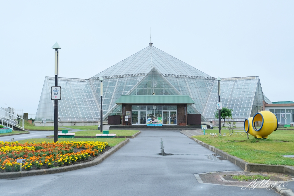 日本北海道｜函館市熱帶植物園．冬天欣賞彌猴泡溫泉秀，交通方式及門票費用介紹 @飛天璇的口袋